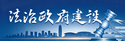 法治政府建设